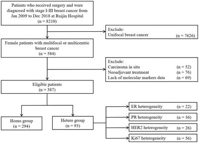 Association of Molecular Biomarker Heterogeneity With Treatment Pattern and Disease Outcomes in Multifocal or Multicentric Breast Cancer